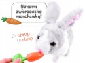 Interaktywny królik szary kica chrupie porusza się