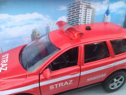 STRAŻ POŻARNA Z POLSKIM GŁOSEM W ŚWIATŁA NAPĘD STRAŻ POŻARNA Z POLSKIM GŁOSEM W ŚWIATŁA NAPĘD