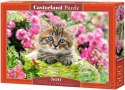 Piękne Puzzle 500 el kotek dla dzieci Piękne Puzzle 500 el kotek dla dzieci